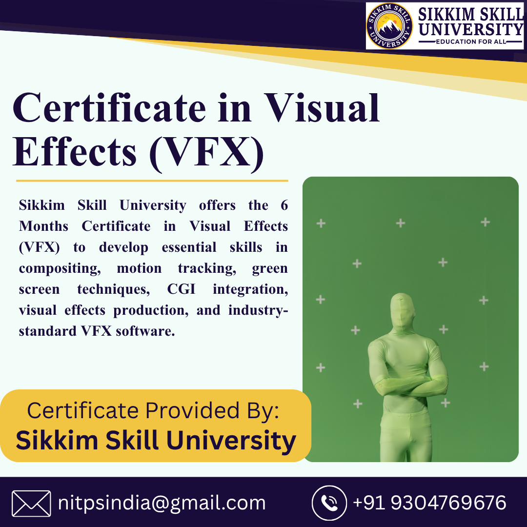 Visual Effects (Vfx)